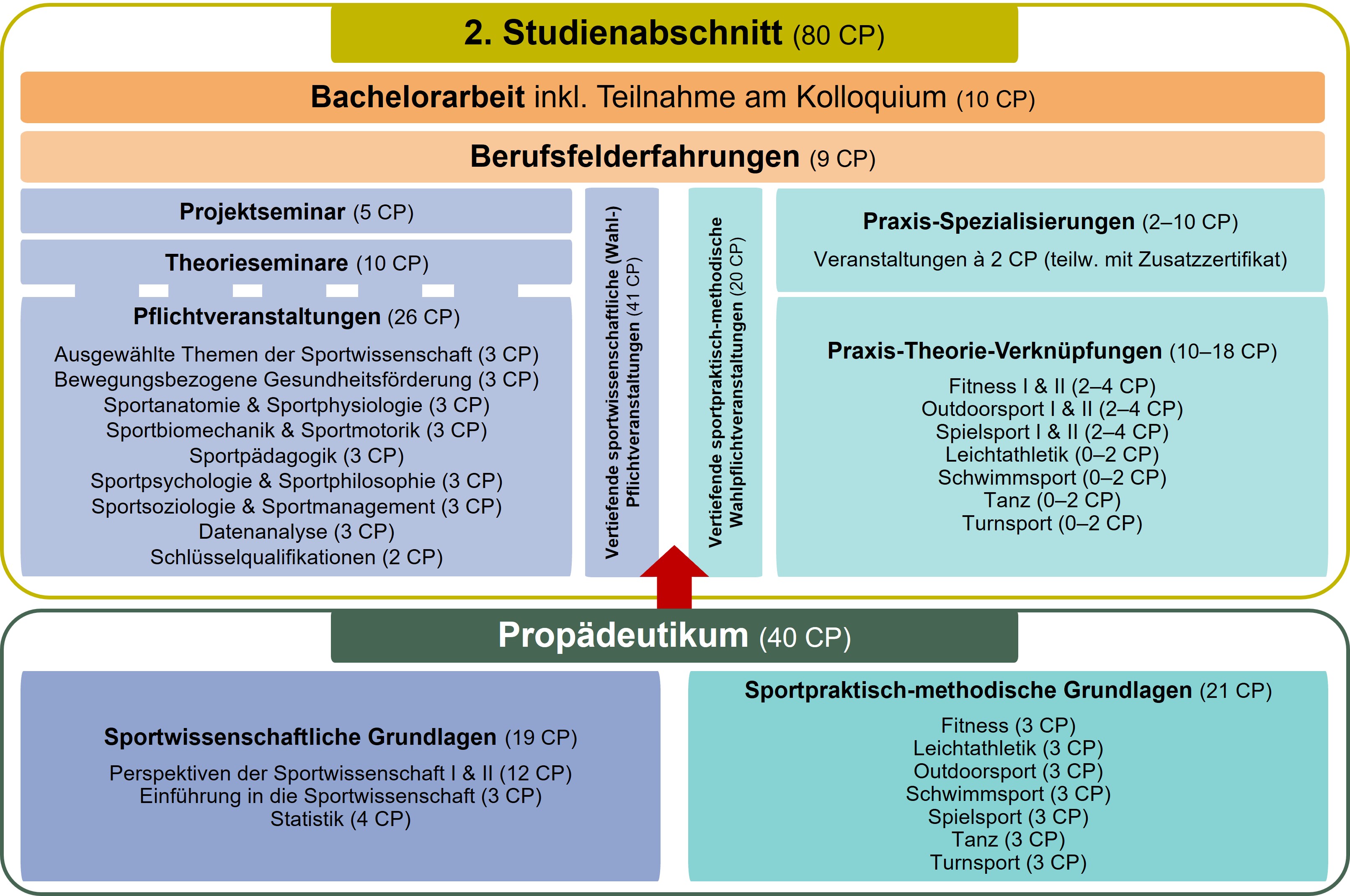 Studienaufbau Bachelor