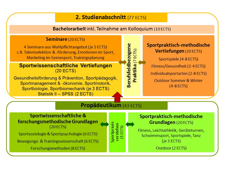 Studienaufbau Bachelor